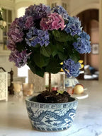 Jardinière Dragon Bowl en bleu et blanc
